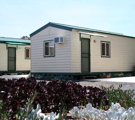 West City Motel Ardeer Eksteriør billede