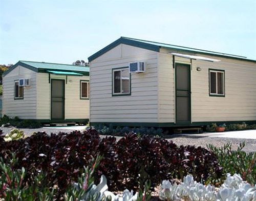 West City Motel Ardeer Eksteriør billede
