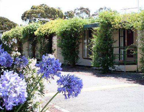 West City Motel Ardeer Eksteriør billede