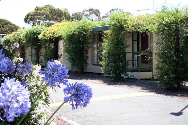 West City Motel Ardeer Eksteriør billede